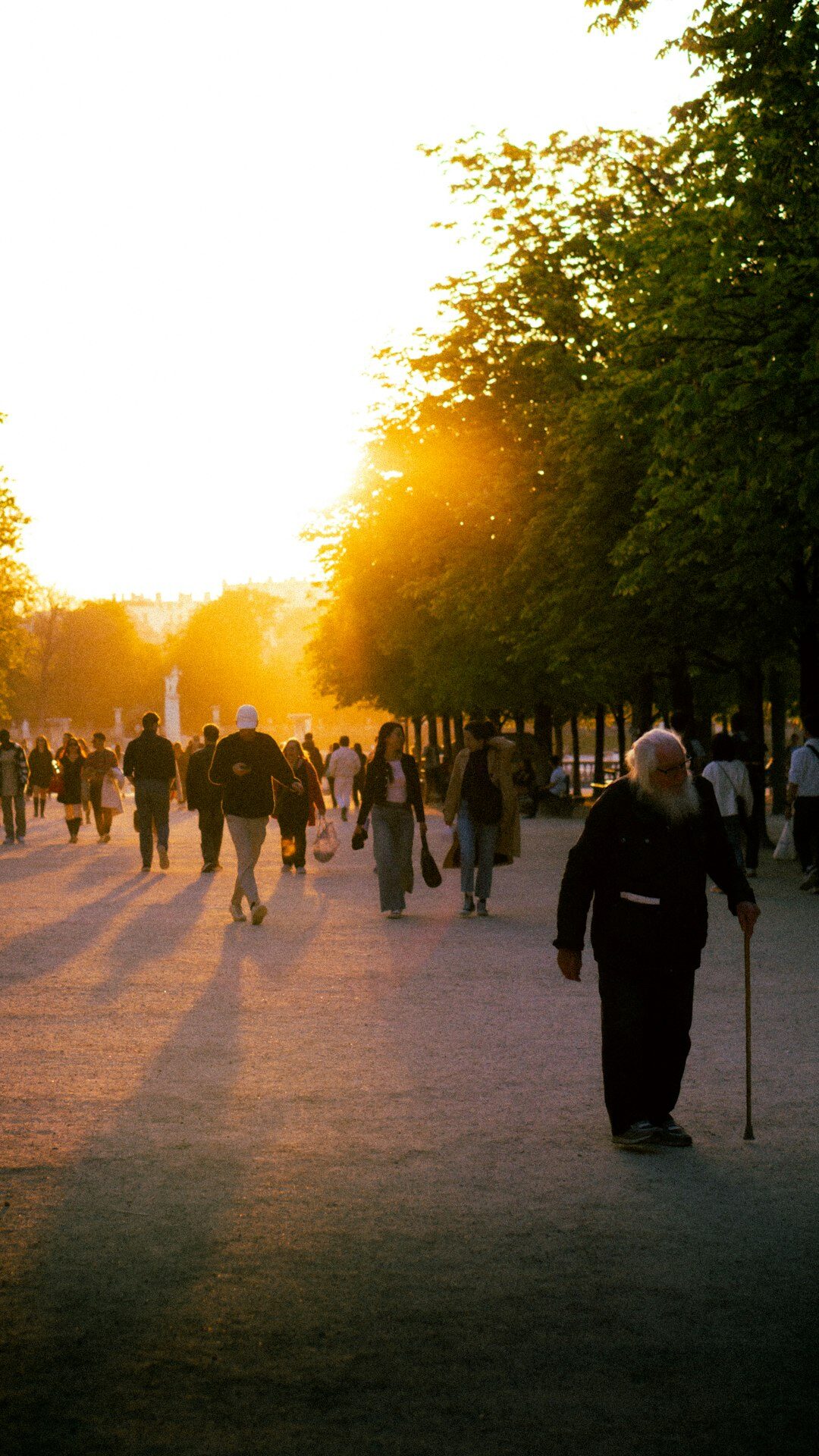 seniors walking in park